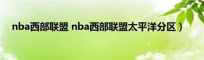 nba西部联盟 nba西部联盟太平洋分区）