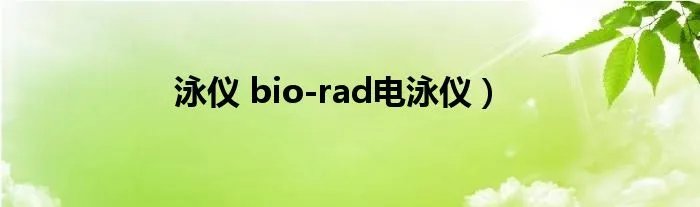 泳仪 bio-rad电泳仪)