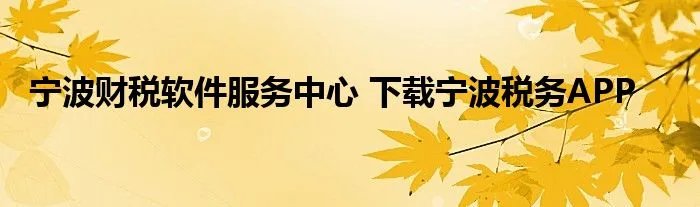 宁波财税软件服务中心 下载宁波税务APP