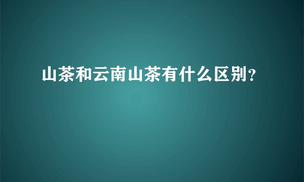 山茶和云南山茶有什么区别？