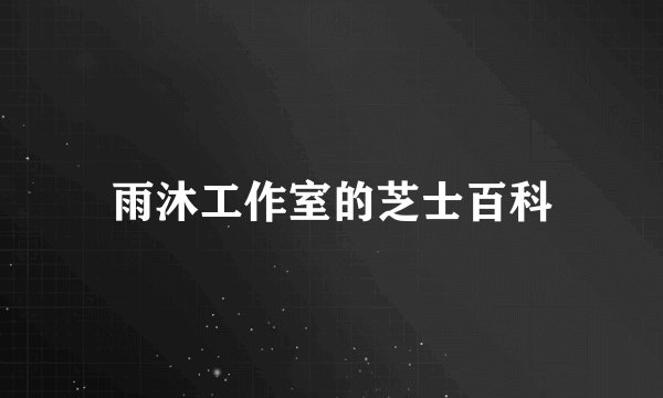 雨沐工作室的芝士百科