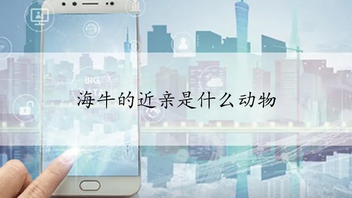 海牛的近亲是什么动物