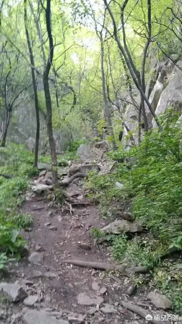想去河南登封旅游2天,该怎么规划?