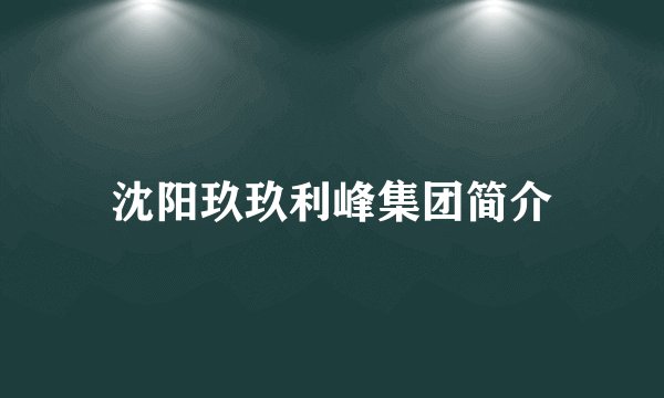 沈阳玖玖利峰集团简介