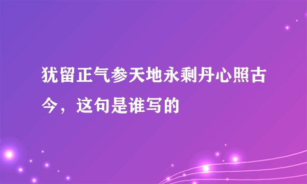 犹留正气参天地永剩丹心照古今，这句是谁写的