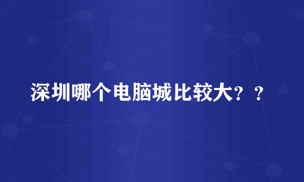 深圳哪个电脑城比较大？？