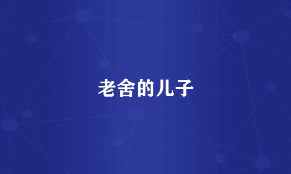 老舍的儿子