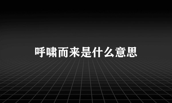 呼啸而来是什么意思