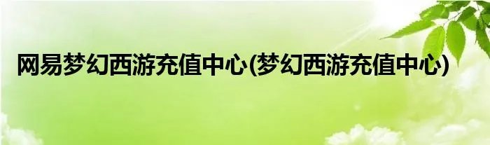 网易梦幻西游充值中心(梦幻西游充值中心)