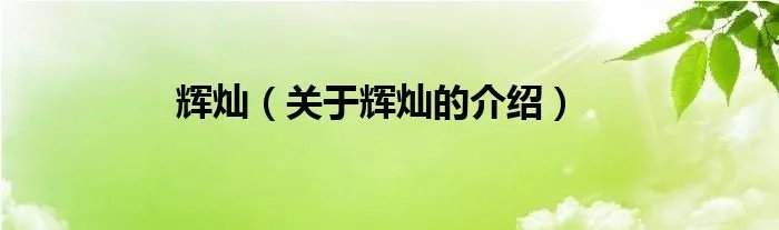 辉灿（关于辉灿的介绍）
