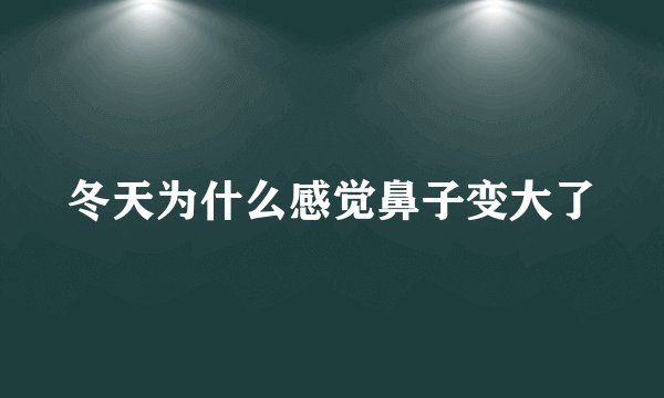 冬天为什么感觉鼻子变大了