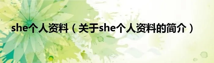 she个人资料(关于she个人资料的简介)