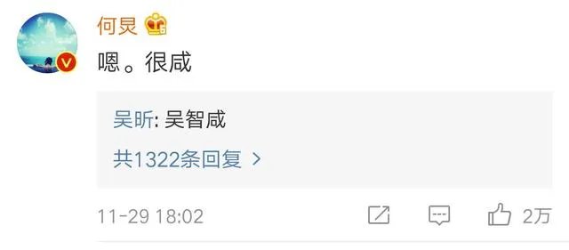 吴昕微博晒自拍并附文“拍出全智贤的感觉了吗”,你怎么看?