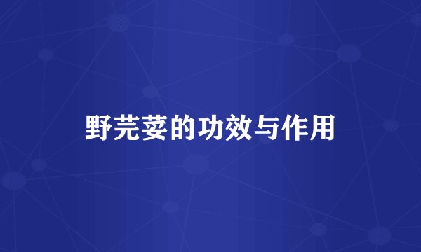 野芫荽的功效与作用