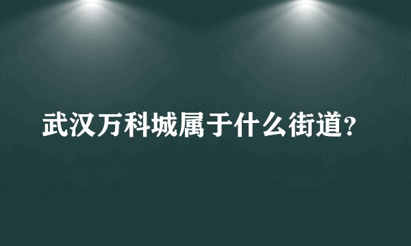 武汉万科城属于什么街道？