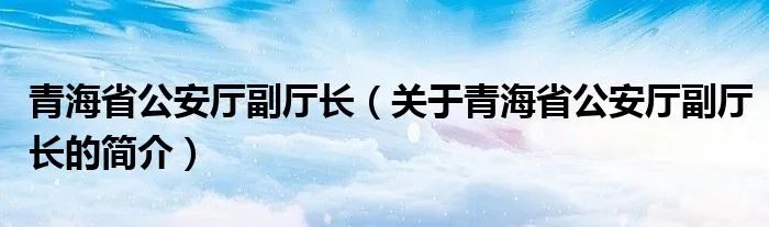 青海省公安厅副厅长（关于青海省公安厅副厅长的简介）