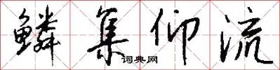 鳞集仰流