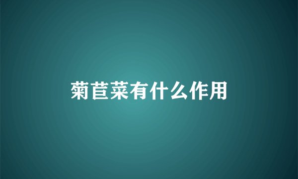 菊苣菜有什么作用