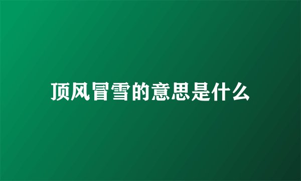 顶风冒雪的意思是什么