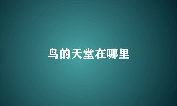 鸟的天堂在哪里