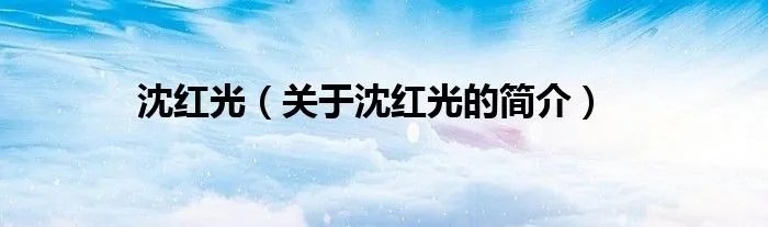 沈红光（关于沈红光的简介）