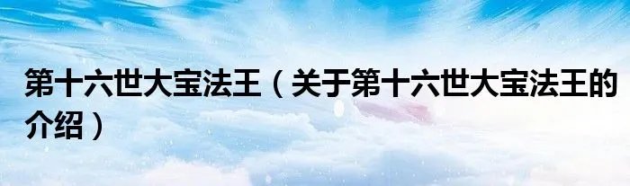第十六世大宝法王(关于第十六世大宝法王的介绍)