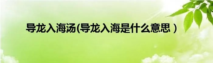 导龙入海汤(导龙入海是什么意思）
