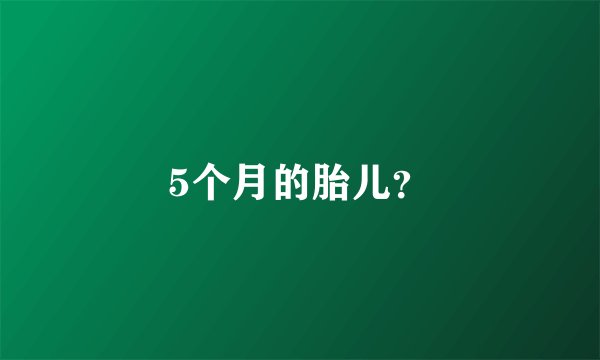 5个月的胎儿？
