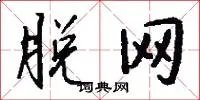 脱网