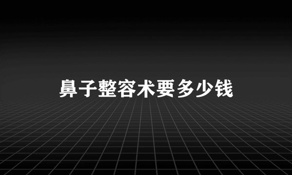 鼻子整容术要多少钱