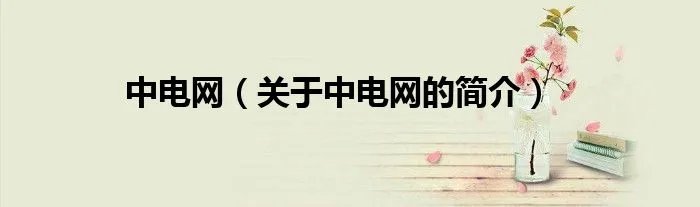 中电网（关于中电网的简介）