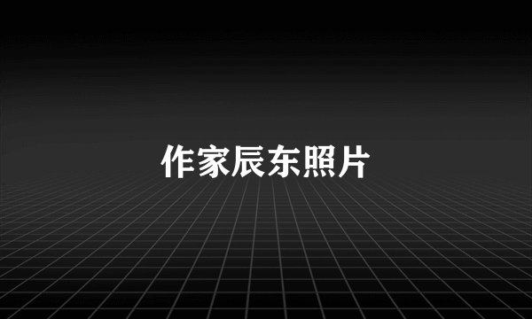 作家辰东照片