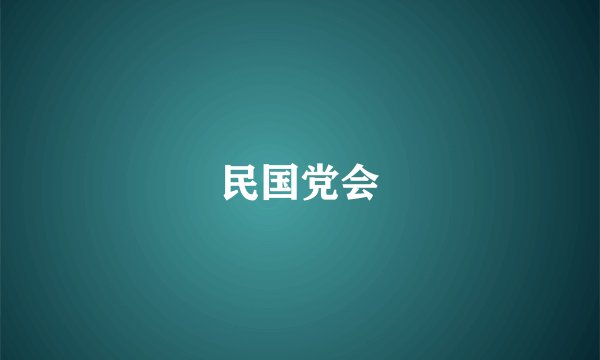 民国党会