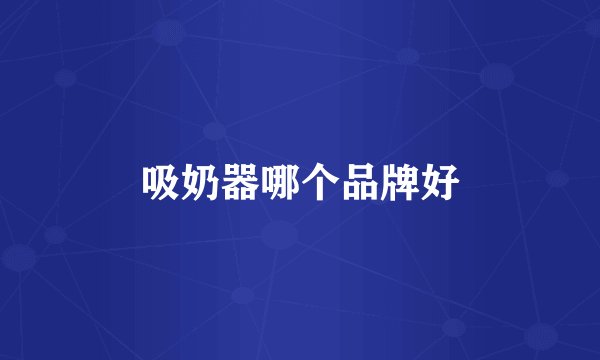 吸奶器哪个品牌好