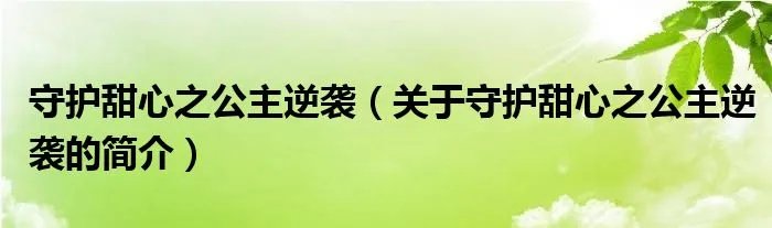 守护甜心之公主逆袭（关于守护甜心之公主逆袭的简介）
