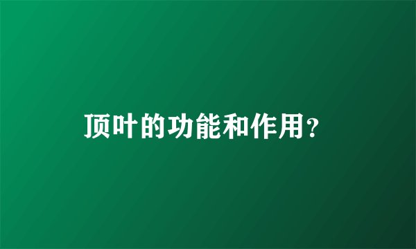 顶叶的功能和作用？