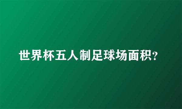 世界杯五人制足球场面积?