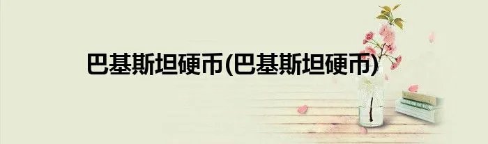 巴基斯坦硬币(巴基斯坦硬币)