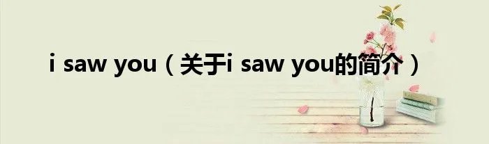i saw you（关于i saw you的简介）
