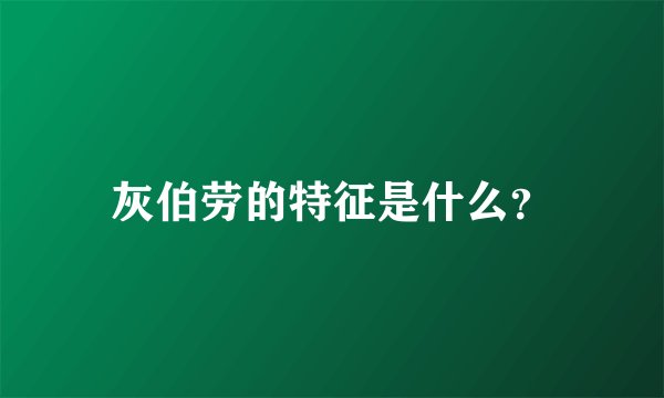 灰伯劳的特征是什么？