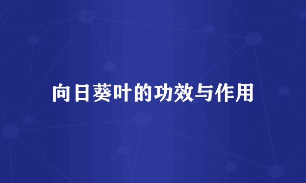 向日葵叶的功效与作用