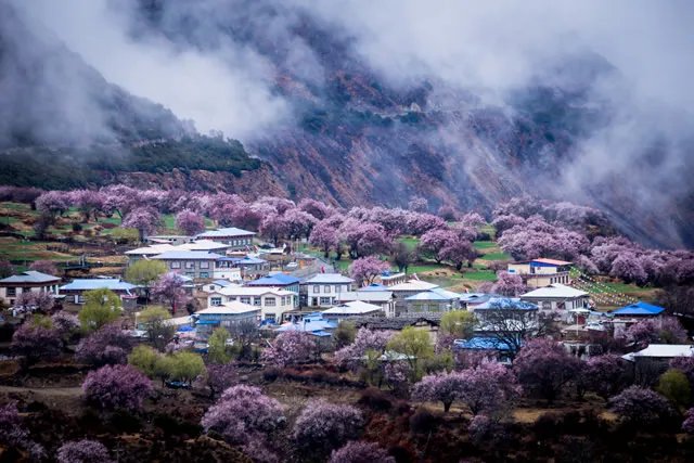 中国十大春季旅游景点