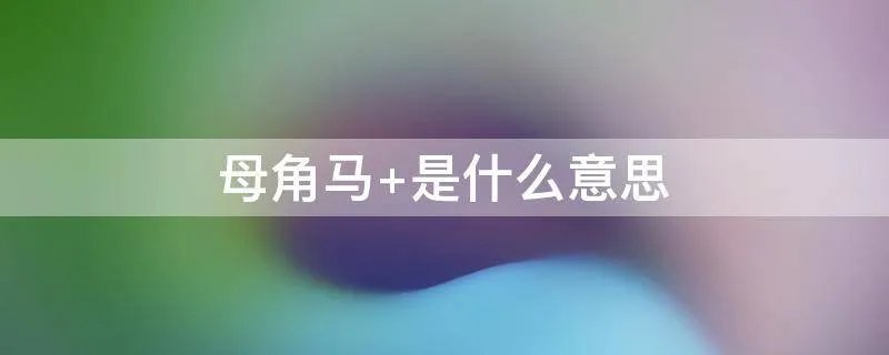 母角马 是什么意思