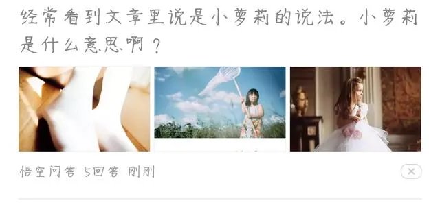 小萝莉是什么意思?