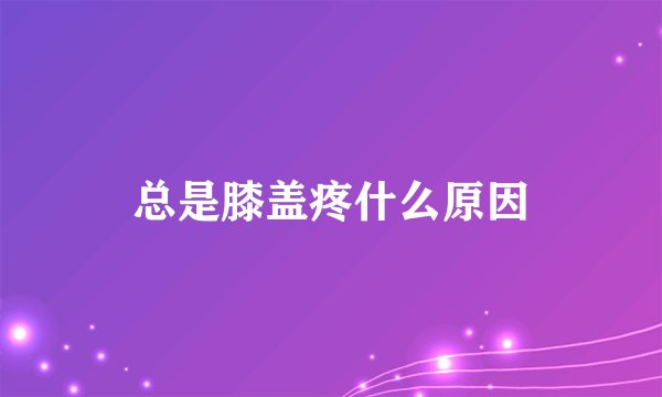 总是膝盖疼什么原因