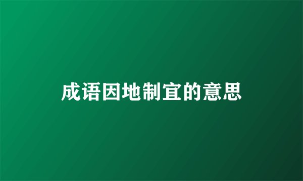 成语因地制宜的意思