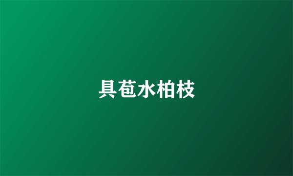 具苞水柏枝