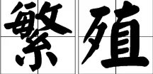 “繁殖”的近义词是什么？