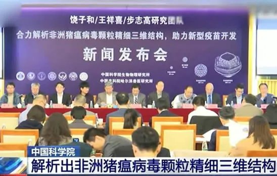 中国解析猪瘟病毒:这到底是怎么回事?