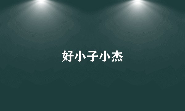 好小子小杰